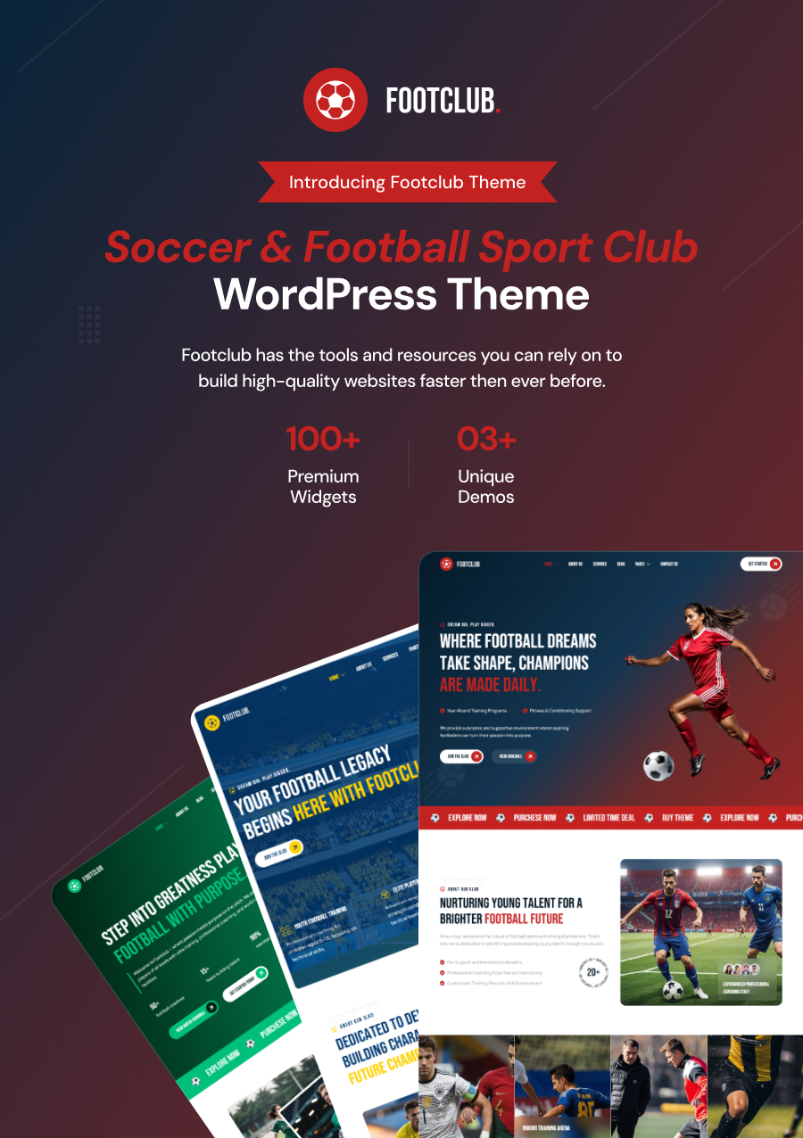 wordpress football club theme
