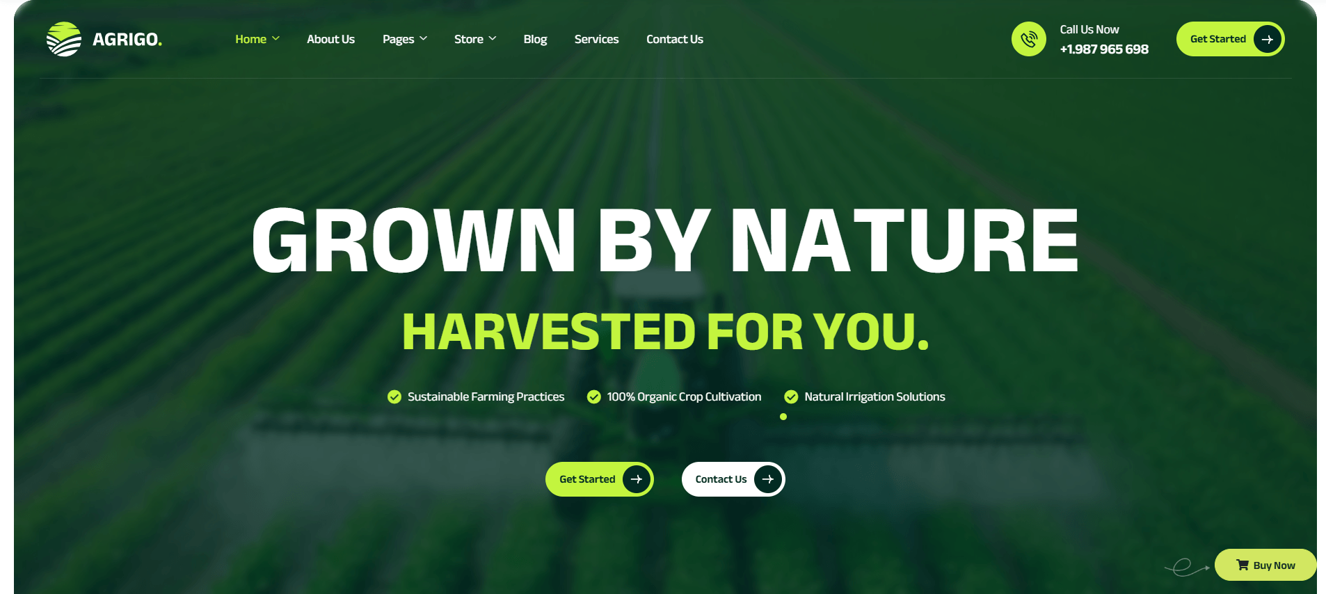 Agrigo - Agriculture & Organic Farm WordPress Theme