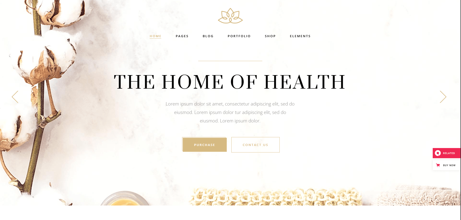 Aviana - Elegant Wellness & Spa WordPress Theme