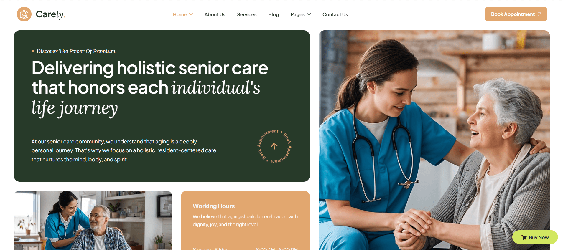 Carely - Elderly Nursing & Senior Care WordPress Theme