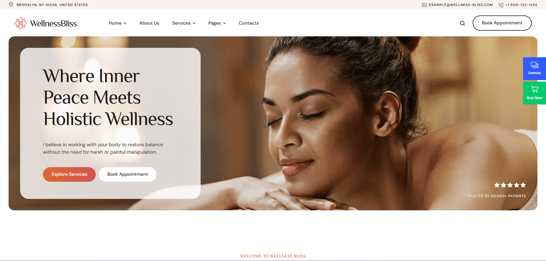 Wellness Bliss - Massage Salon & Spa WordPress Theme